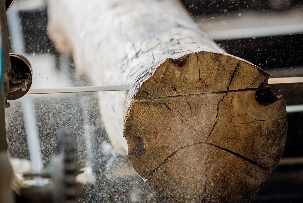 Modernes Sägewerk. Industrie sägt Bretter aus Stämmen